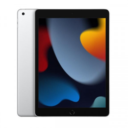 10.2 iPad Wi-Fi 256GB - Silver