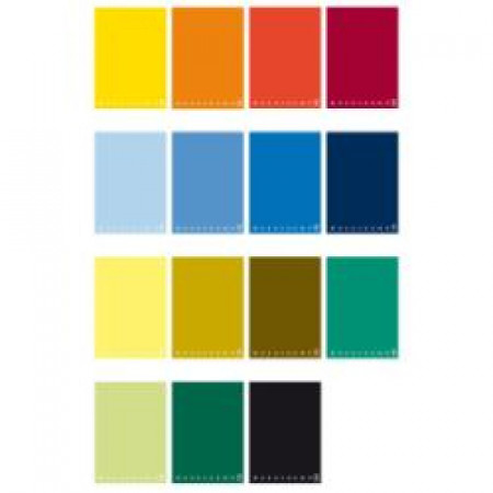 Quaderni MAXI A4 1R  SPIRALATO  copertina 230 gr plastific            ata  fg70  80 gr/mq (conf.5)