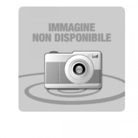 PREMIUM SEMIGLOSS PHOTO PAPER(170)  IN ROTOLI DA 41  91 CM X 30  48M  (16  5  X 100 ).