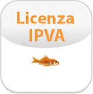 IPVA LICENSE