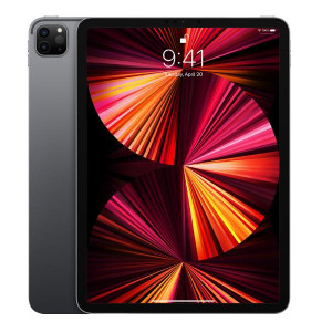 IPAD PRO 11 WF CL 256 GRY-ISP