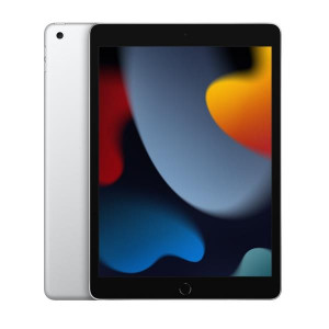 10.2 iPad Wi-Fi 256GB - Silver