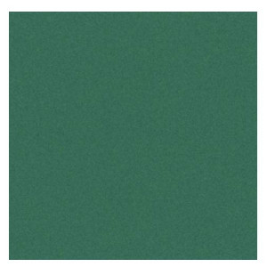CF25FF COLORLINE 70X100 VERDE VIVO