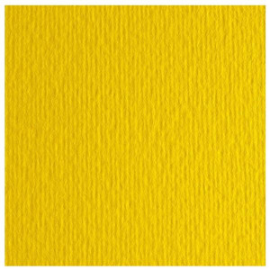 CF10 LR CEDRO-70X100