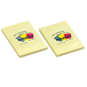 notes 102x150 righe 100 fg.