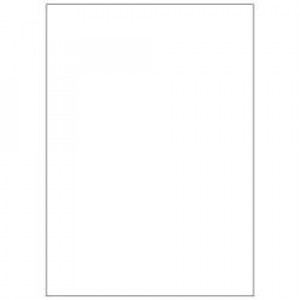 Etichette bianche senza margini - Laser/Inkjet/Copiatrici - 210x297 - 100 ff