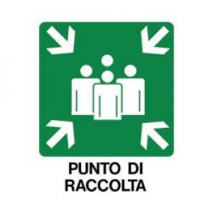CARTELLO PUNTO DI RACCOLTA  250X310