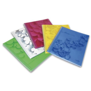PORTALISTINO FANTASIA 22X30 50 FOGLI ASSORTITO