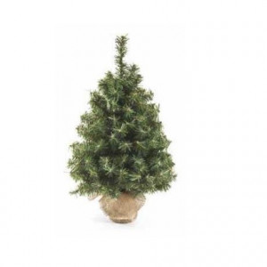 ALBERO DI NATALE MARMOLADA 45cmBASE JUTA