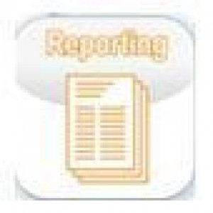 REPORTING LICENSE