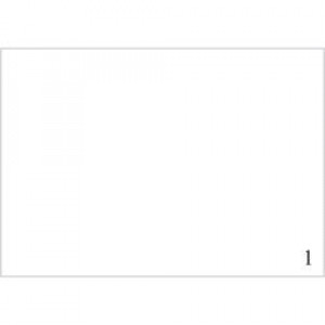 Etichette SRA3 in poliestere bianco lucido ,320x450mm , 100 ff